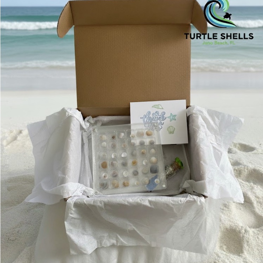 Hand picked Mini Shells Keepsake Box (36ct), Coastal Decor Gift Set